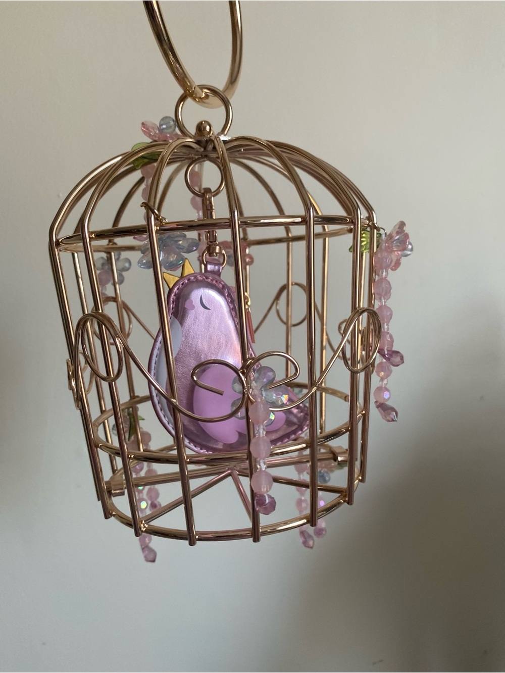 Birdcage Clutch Purse- Metal Frame
